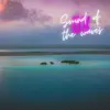 Surfing the waves (sound of waves + nature sounds + background music + 1/f fluctuation + alpha waves + ASMR + relaxation) - Single album lyrics, reviews, download