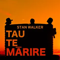 Tau Te Mārire / Take It Easy - Single by Stan Walker album reviews, ratings, credits
