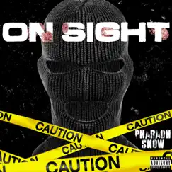 On Sight (feat. Lewdimus Prime) Song Lyrics