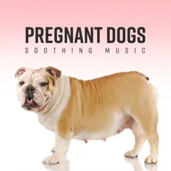 Pregnant Dogs - Soothing Music for Better Sleep, Less Anxious, Soothe Your Pet, Calm Childbirth by Pet Music Academy album reviews, ratings, credits