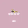 Up In the Air - Single album lyrics, reviews, download