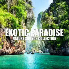 Exotic Paradise: Nature Sounds Collection – Spa & Wellness Background Music, Gentle Touch, Healing Massage, Relaxation, Harmony Eden by Healing Oriental Spa Collection album reviews, ratings, credits