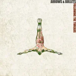 Following the Threads by Arrows & Bullets album reviews, ratings, credits