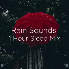 Fall Asleep Rain Song Lyrics