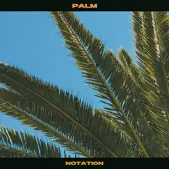 Palm - Single by Notation album reviews, ratings, credits