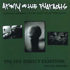 The Five Perfect Exertions (Remix) Song Lyrics