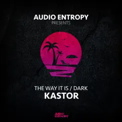 The Way It Is / Dark - Single by Kastor album reviews, ratings, credits