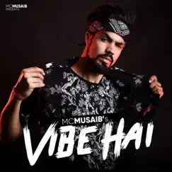 Vibe Hai - Single by MC Musaib album reviews, ratings, credits