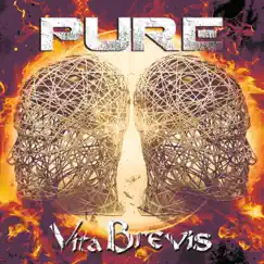 Vita Brevis by Pure album reviews, ratings, credits