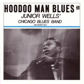 Download Ships On the Ocean Junior Wells' Chicago Blues Band MP3