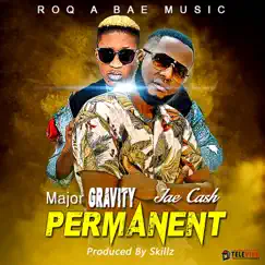 Permanent (feat. Jae Cash) - Single by Major Gravity album reviews, ratings, credits