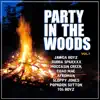 Party in the Woods (Remix) [feat. Afroman] song lyrics