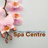 Spa Centre - 1 Hour of Hot Spring Waters and Mud Baths, Turkish bath, Sauna, Pool with jacuzzi album lyrics, reviews, download