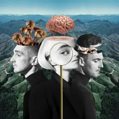 What Is Love? (Deluxe) by Clean Bandit album reviews, ratings, credits