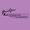 Levitating (feat. Sukriti Kakar & Prakriti Kakar) [Amaal Mallik Remix] album lyrics, reviews, download