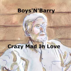 Crazy Mad in Love - Single by Boys'N'Barry album reviews, ratings, credits