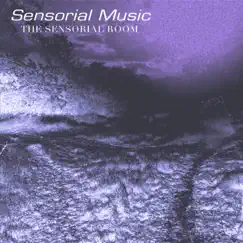 Sensorial Music by The Sensorial Room album reviews, ratings, credits