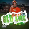 Old Life - Single album lyrics, reviews, download