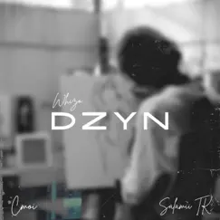 DZYN (feat. Cmoi Twelve & Salamii TK) - Single by Whizo album reviews, ratings, credits