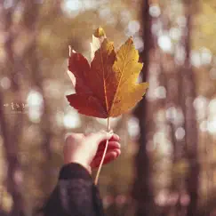 Autumn Song Song Lyrics