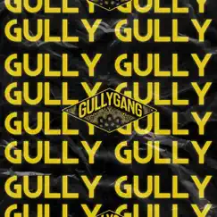 Gully - Single by Multiply Beats album reviews, ratings, credits