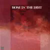 Rose In the Dirt album lyrics, reviews, download