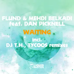 Waiting (Tycoos Radio Edit) [feat. Dan Picknell] Song Lyrics