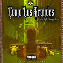 Como Los Grandes (feat. Shaggy Loco) - Single by Casila album reviews, ratings, credits