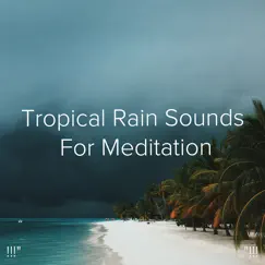 Study Background Rain Song Lyrics