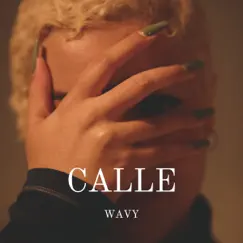 Calle - Single by Wavy album reviews, ratings, credits