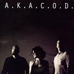 Happiness by A.K.A.C.O.D. album reviews, ratings, credits