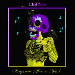 Requiem for a Bitch (feat. Yann Destal) [Remixes] - EP by The Supermen Lovers album reviews, ratings, credits