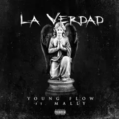 La Verdad (feat. Mally) Song Lyrics