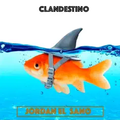 Clandestino - Single by Jordan El Sano album reviews, ratings, credits
