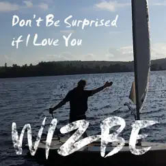 Don't Be Surprised If I Love You - Single by Wizbe album reviews, ratings, credits