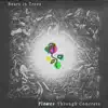 Flower Through Concrete - Single album lyrics, reviews, download
