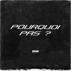 Pourquoi pas ? Song Lyrics