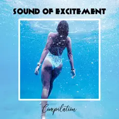 Sound Of Excitement Compilation by Various Artists album reviews, ratings, credits