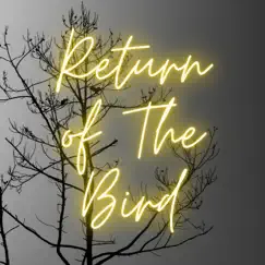 Return of The Bird - Single by Nighter Beats album reviews, ratings, credits