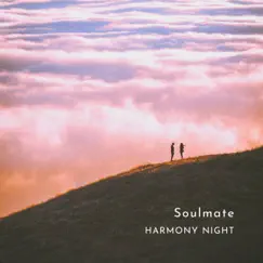 Soulmate (Violin Version) Song Lyrics