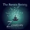 Zensitivity (feat. Kees Van Boxtel) album lyrics, reviews, download