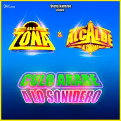 Culo Árabe a Lo Sonidero - Single by Alcalde La Sonora & DJ Tona album reviews, ratings, credits