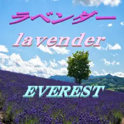 Lavender Song Lyrics