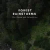 Forest Rainstorms For Sleep and Relaxation album lyrics, reviews, download