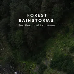 Forest Rainstorms For Sleep and Relaxation by Natural Sounds Selections, Nature Sound Collection & Zen Sounds album reviews, ratings, credits
