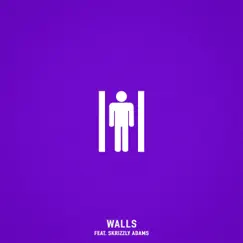 Walls (feat. Skrizzly Adams) Song Lyrics