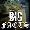 Big Facts (feat. Baby Wode) - Single album lyrics, reviews, download