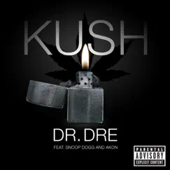 Kush (feat. Snoop Dogg & Akon) - Single by Dr. Dre album reviews, ratings, credits