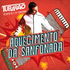 Aquecimento da Sanfonada - Single by DJ Tubarão, Pejota DJ & DJ Caverna album reviews, ratings, credits