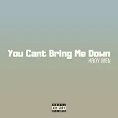 You Can't Bring Me Down Song Lyrics